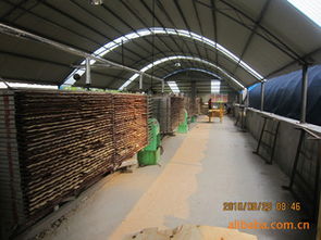 建筑建材 構筑現代文明的基石