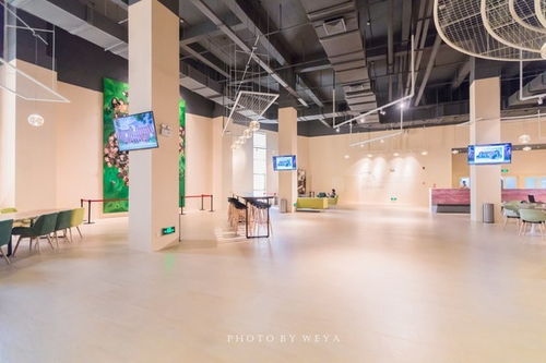 面面旅拍 探索奇妙科技工廠，坐擁海洋度假天堂，珠海夏日玩樂放縱之旅